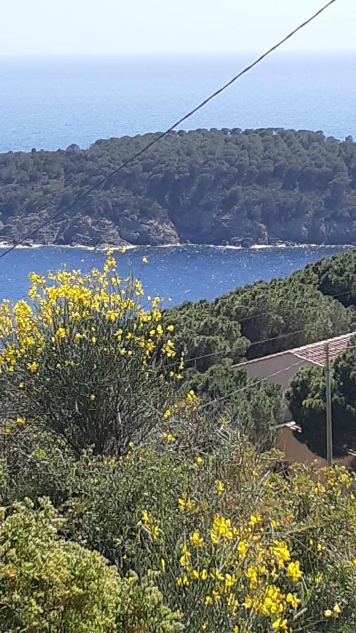 Residence La Calle Isola D'Elba Zewnętrze zdjęcie