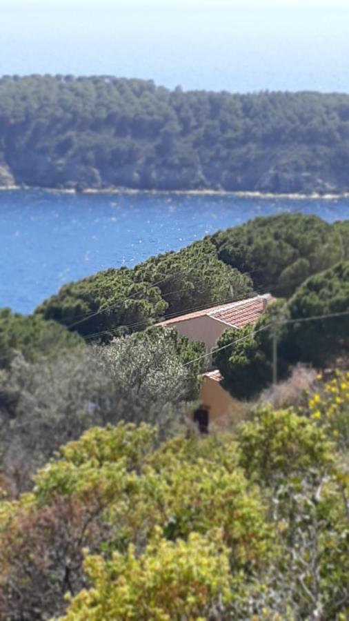 Residence La Calle Isola D'Elba Zewnętrze zdjęcie
